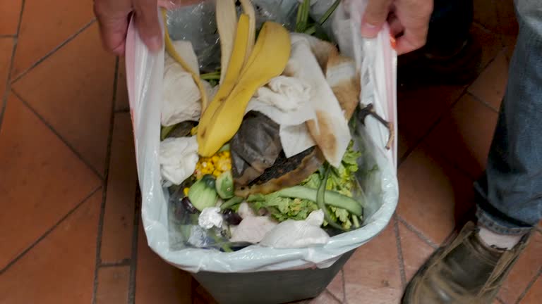 Best Yard Waste Removal  in East Farmingdale, NY